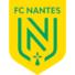 南特